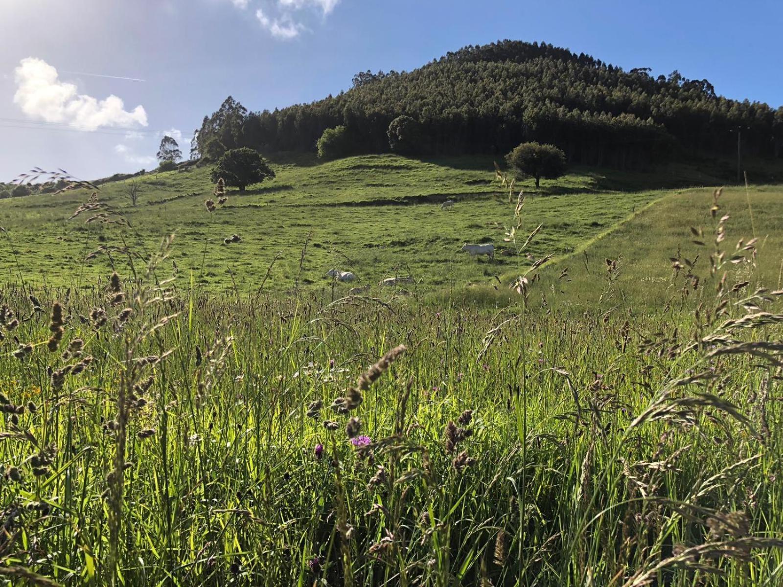 Posada Condado De La Mota Mogro Esterno foto